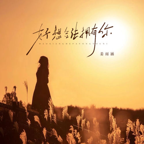 好想合法拥有你 (卡点节奏版)