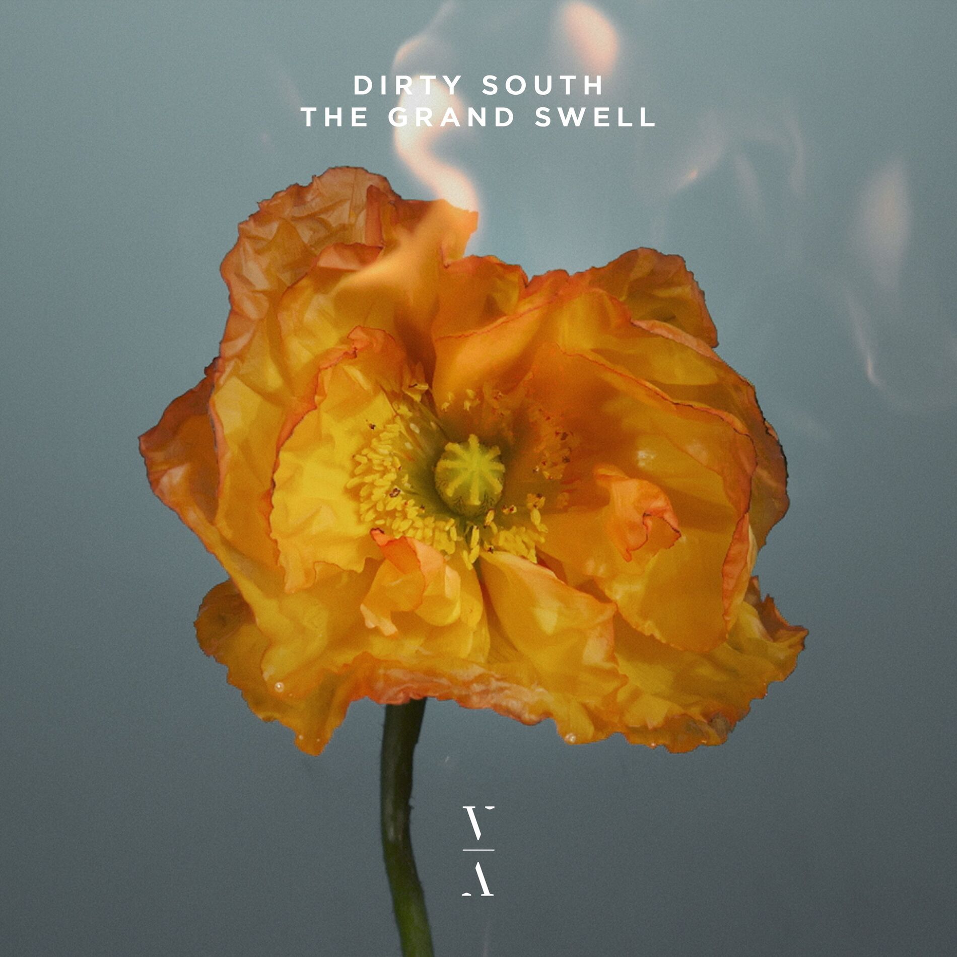 Album cover of The Grand Swell