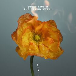 Cover of The Grand Swell