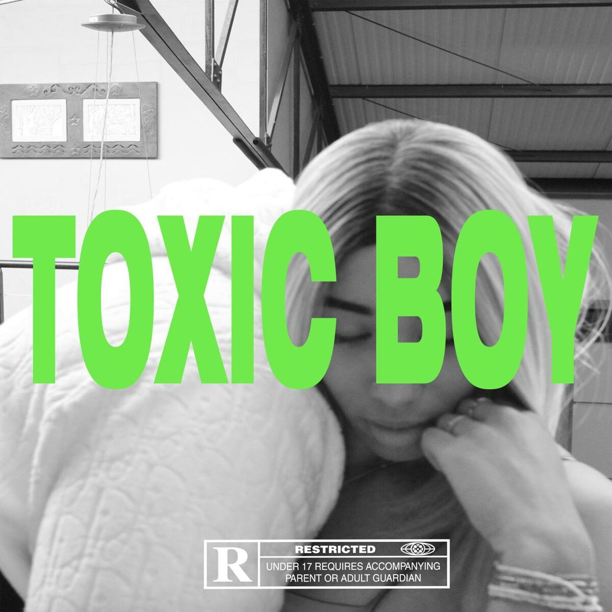 Album cover of Toxic Boy (feat. Mlv)