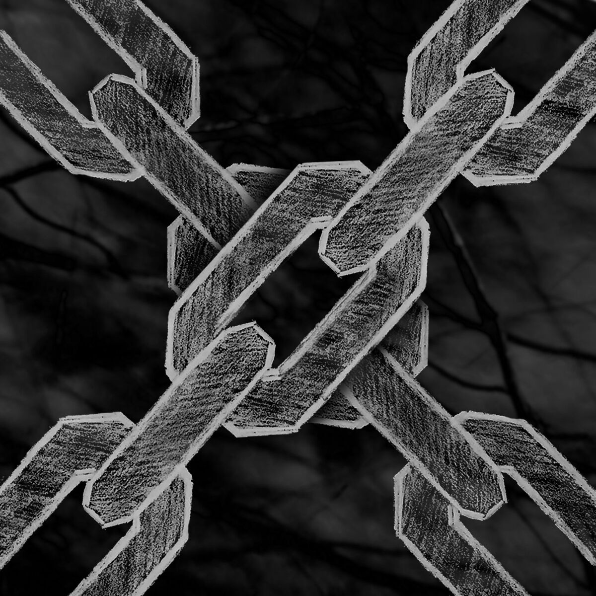 Album cover of The Chain