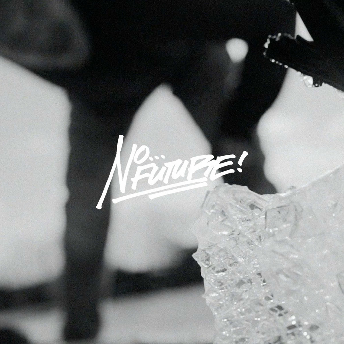 Album cover of No Future