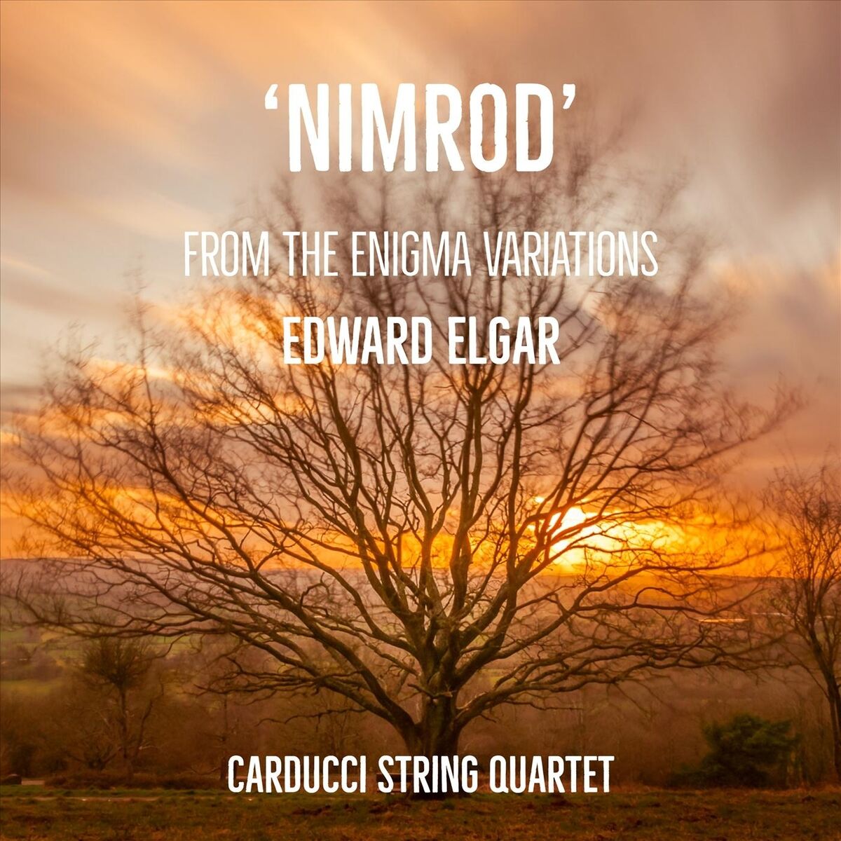 Album cover of Nimrod (From 