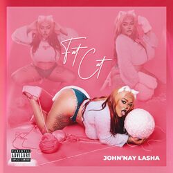 Cover of Fat Cat