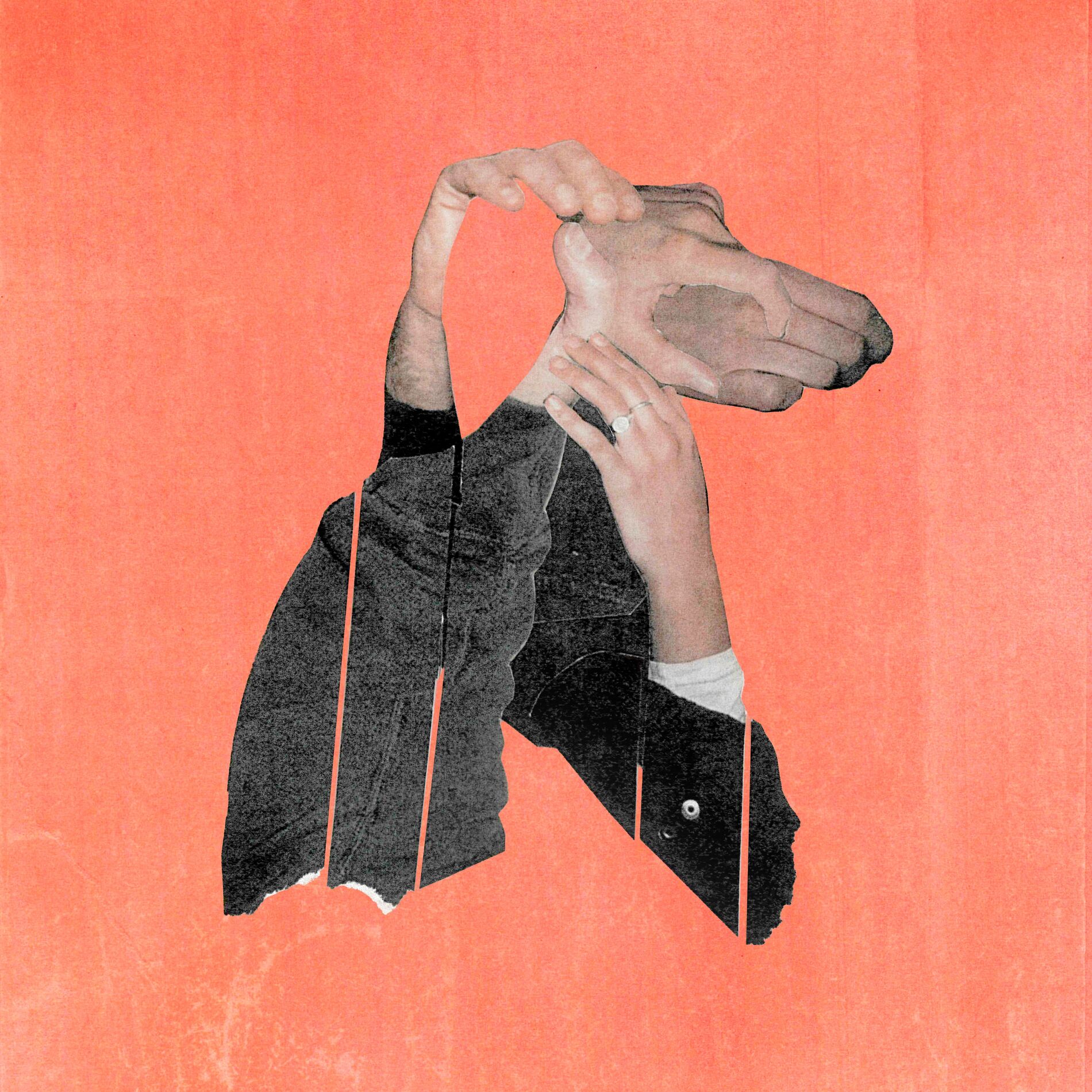 Album cover of A Dog in a Manger