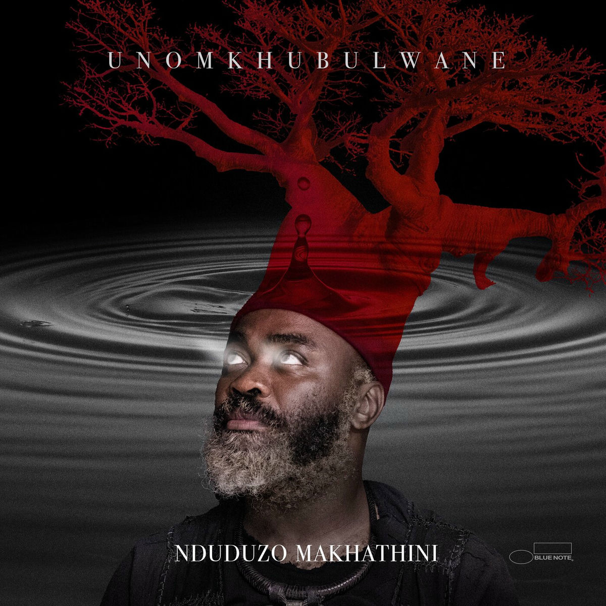 Album picture of uNomkhubulwane