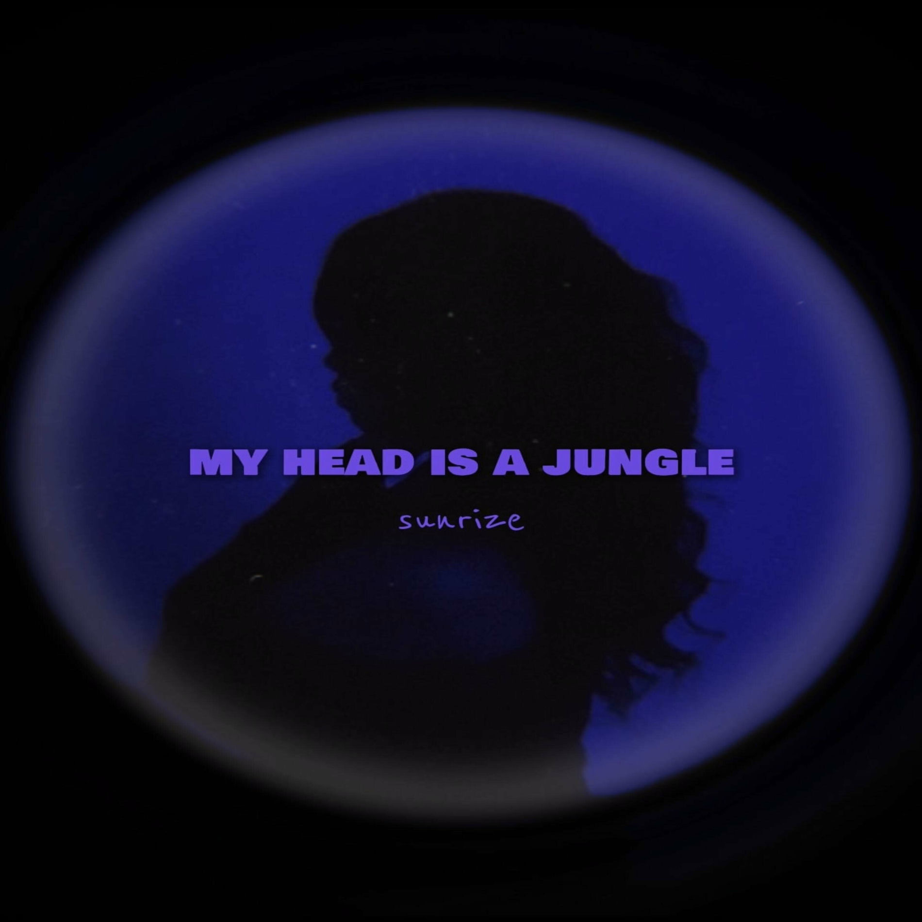 Album cover of My Head Is A Jungle (Afro House)