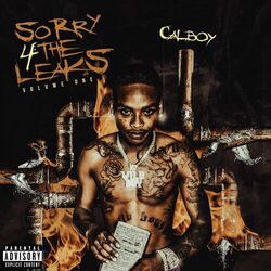 Cover of Sorry 4 The Leaks Vol. 1