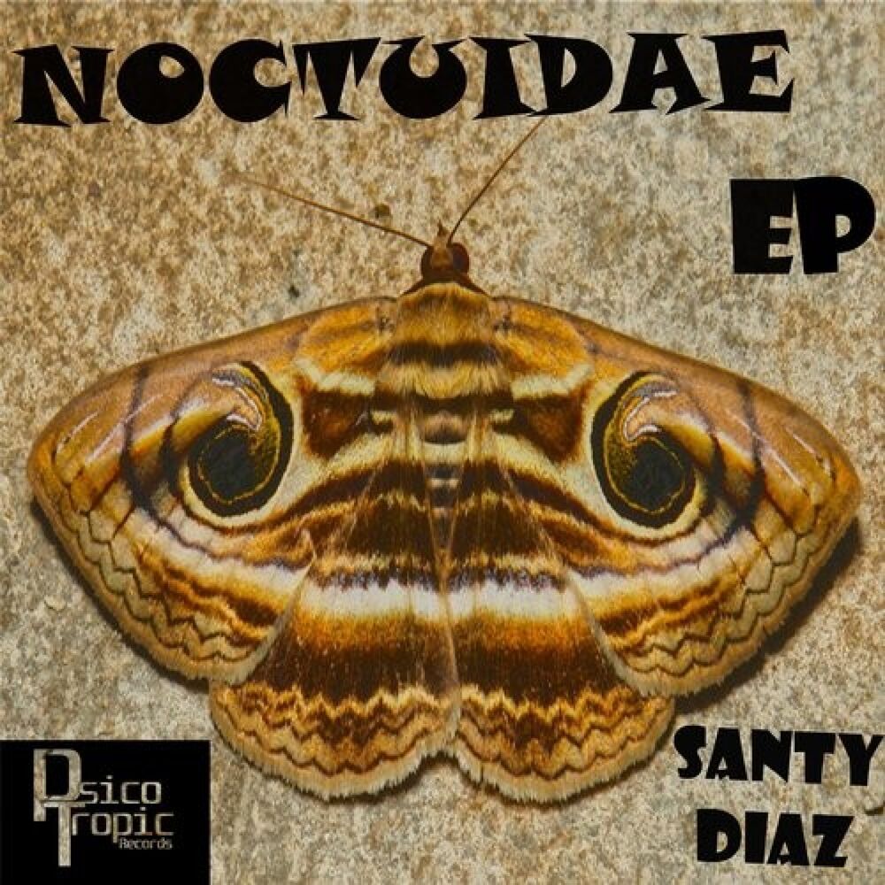 Picture of Noctuidae EP