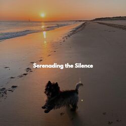 Cover of Serenading the Silence