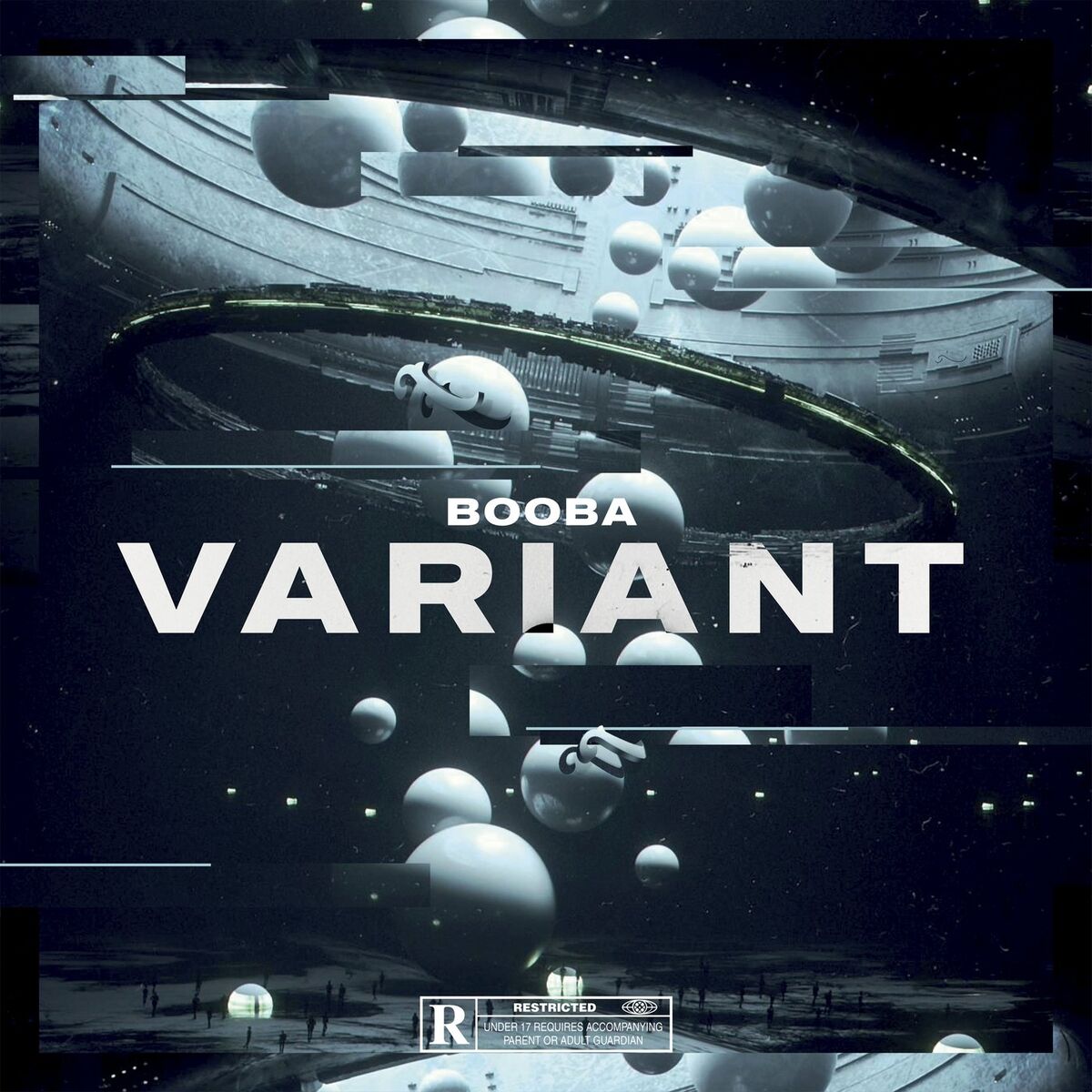 Album cover of VARIANT