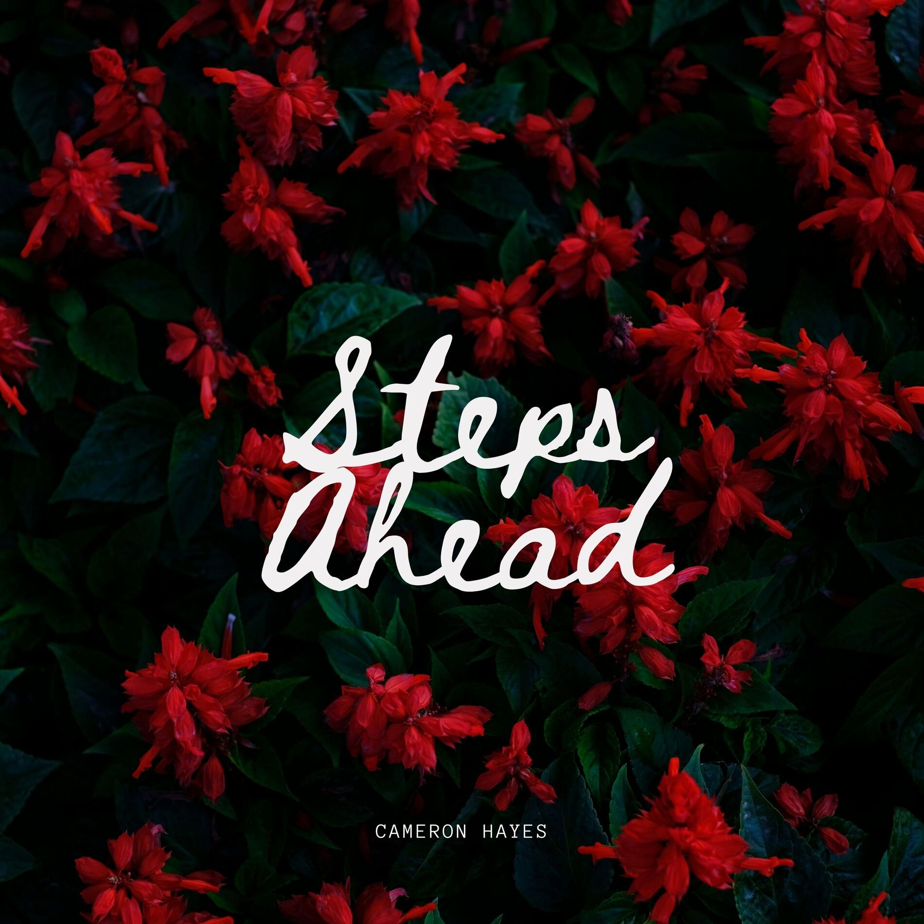 Album cover of Steps Ahead