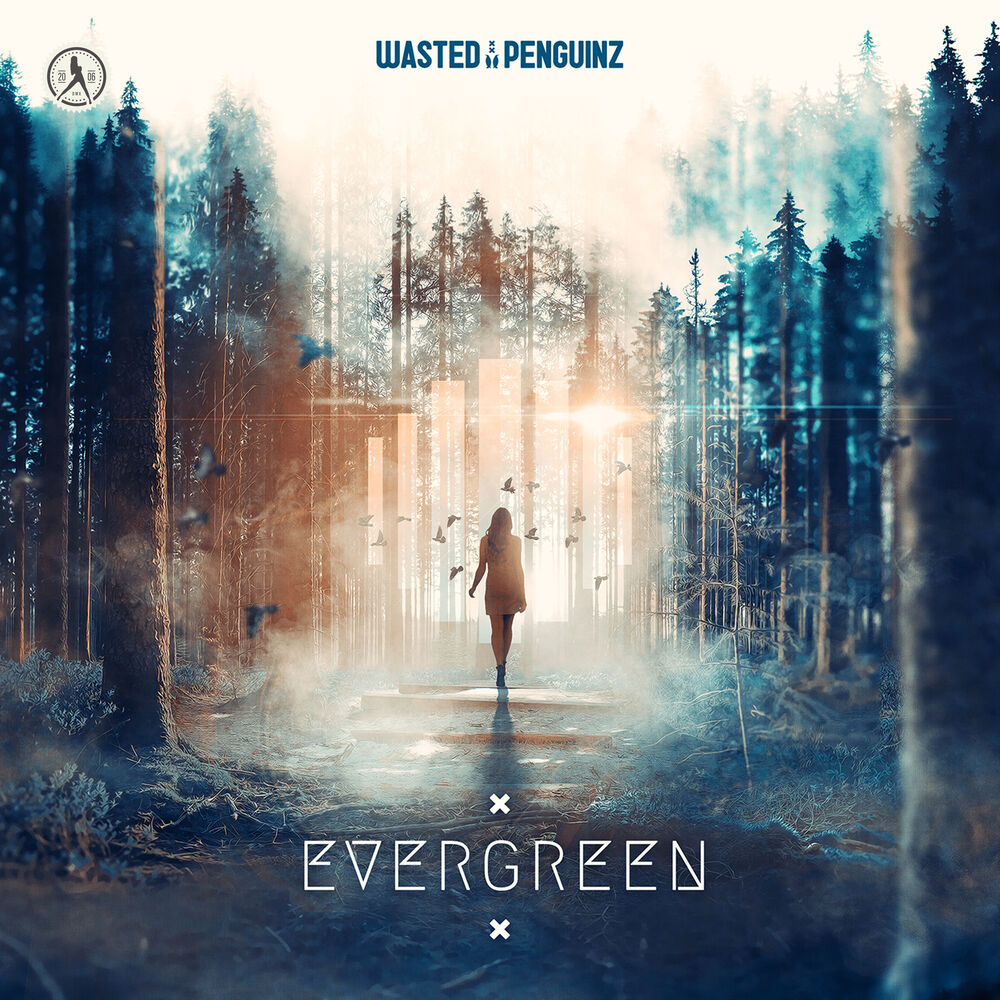 Picture of Evergreen