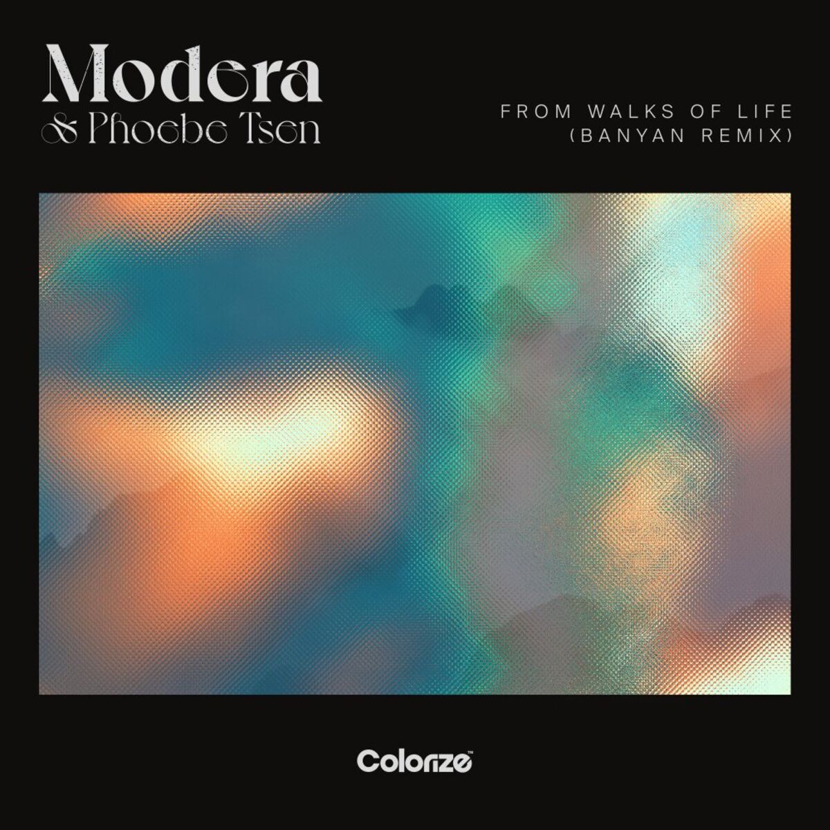 Album cover of From Walks Of Life