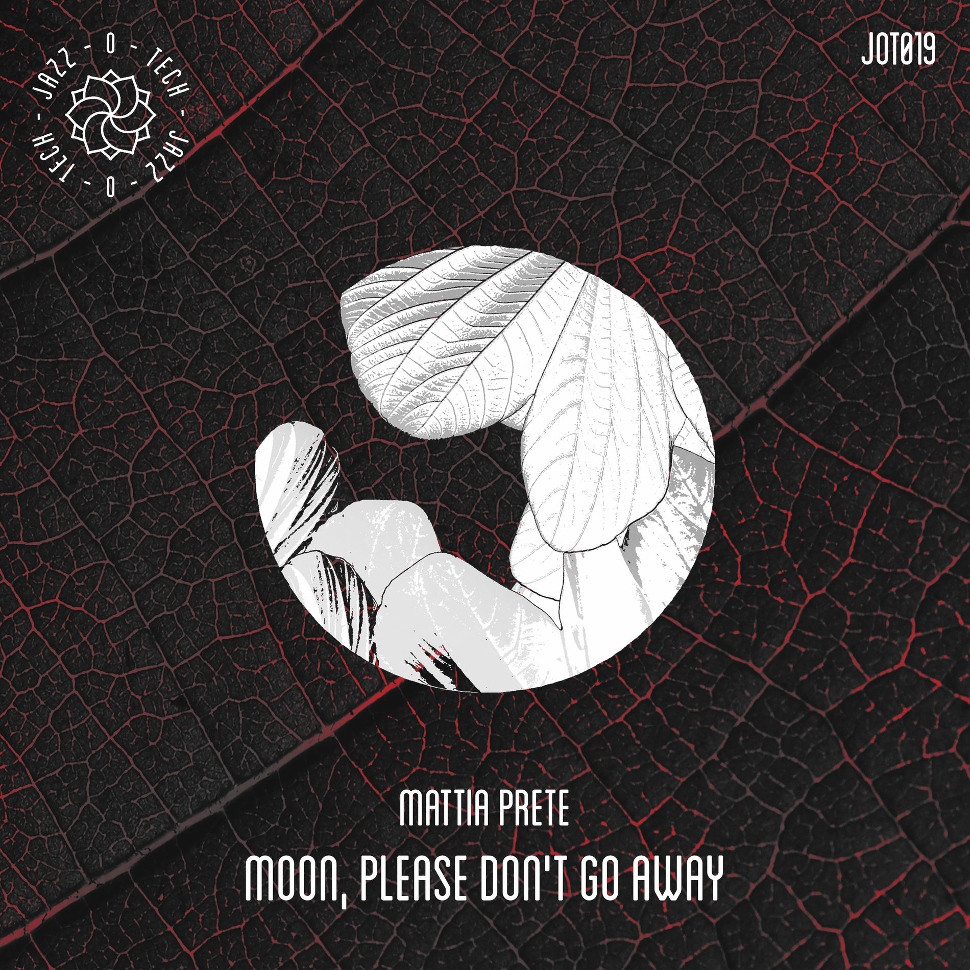 Album cover of Moon, Please Don't Go Away
