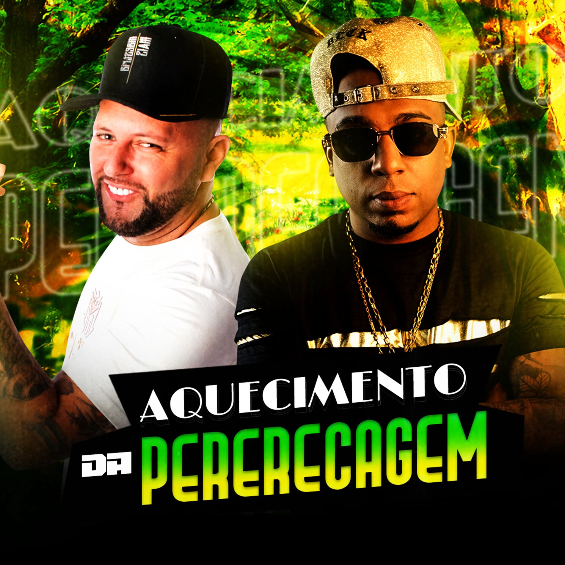 Album cover of Aquecimento da Pererecagem