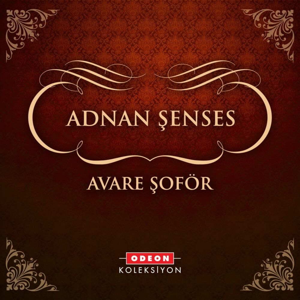 Picture of Avare Şoför