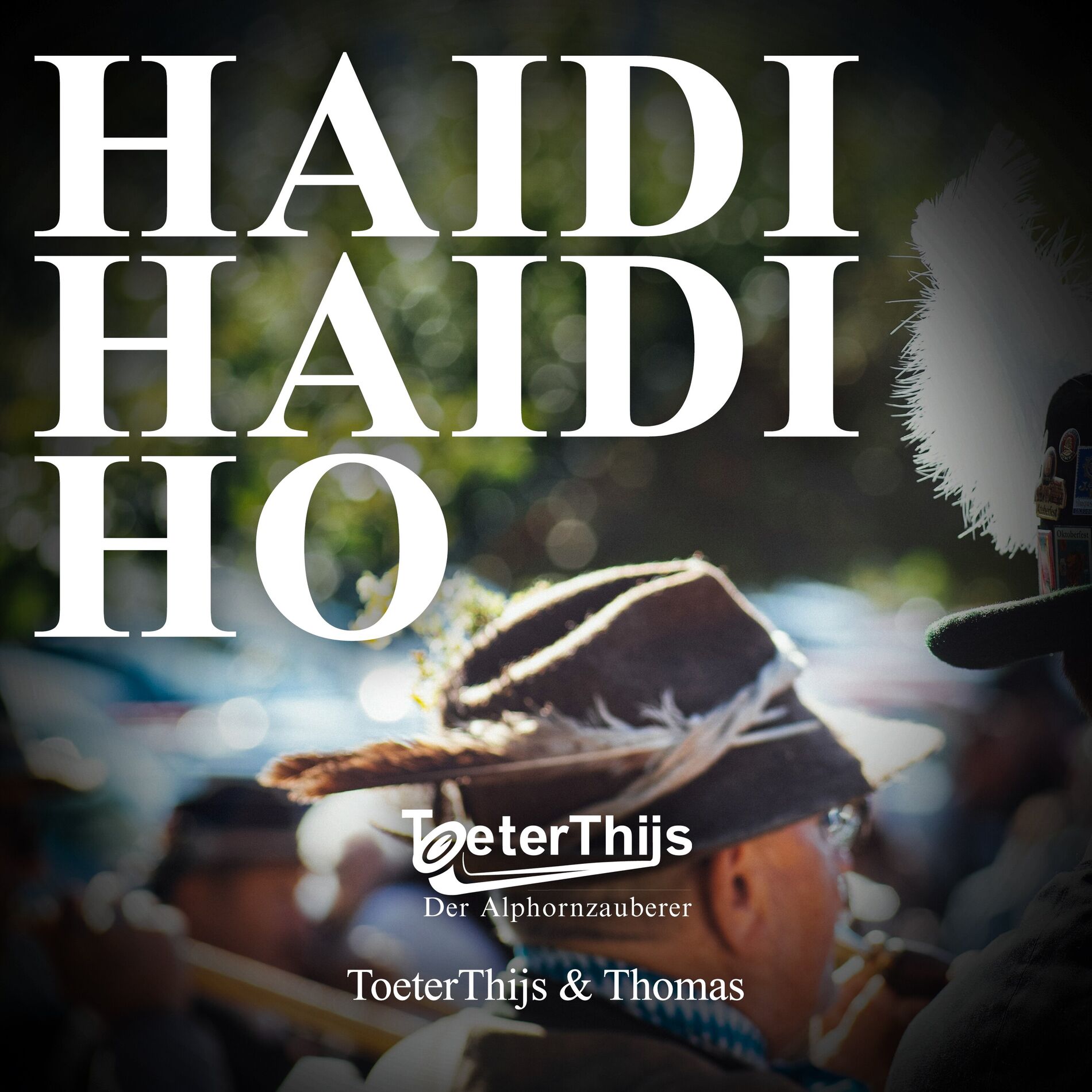 Album cover of Haidi Haidi Ho