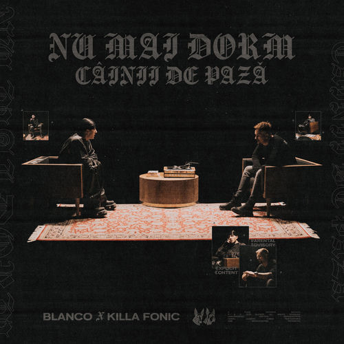 NU MAI DORM CAINII DE PAZA cover art