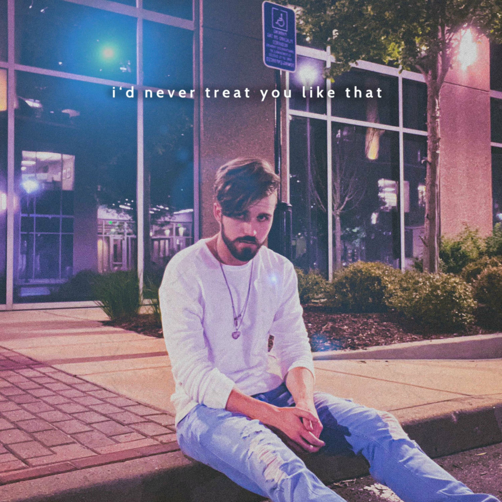 Album cover of i'd never treat you like that
