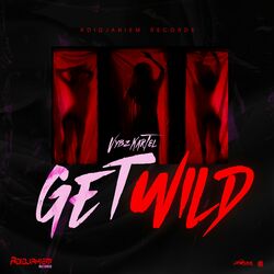 Cover of Get Wild (Remastered)