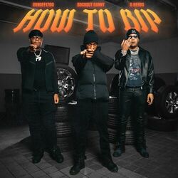 Cover of How To Bip