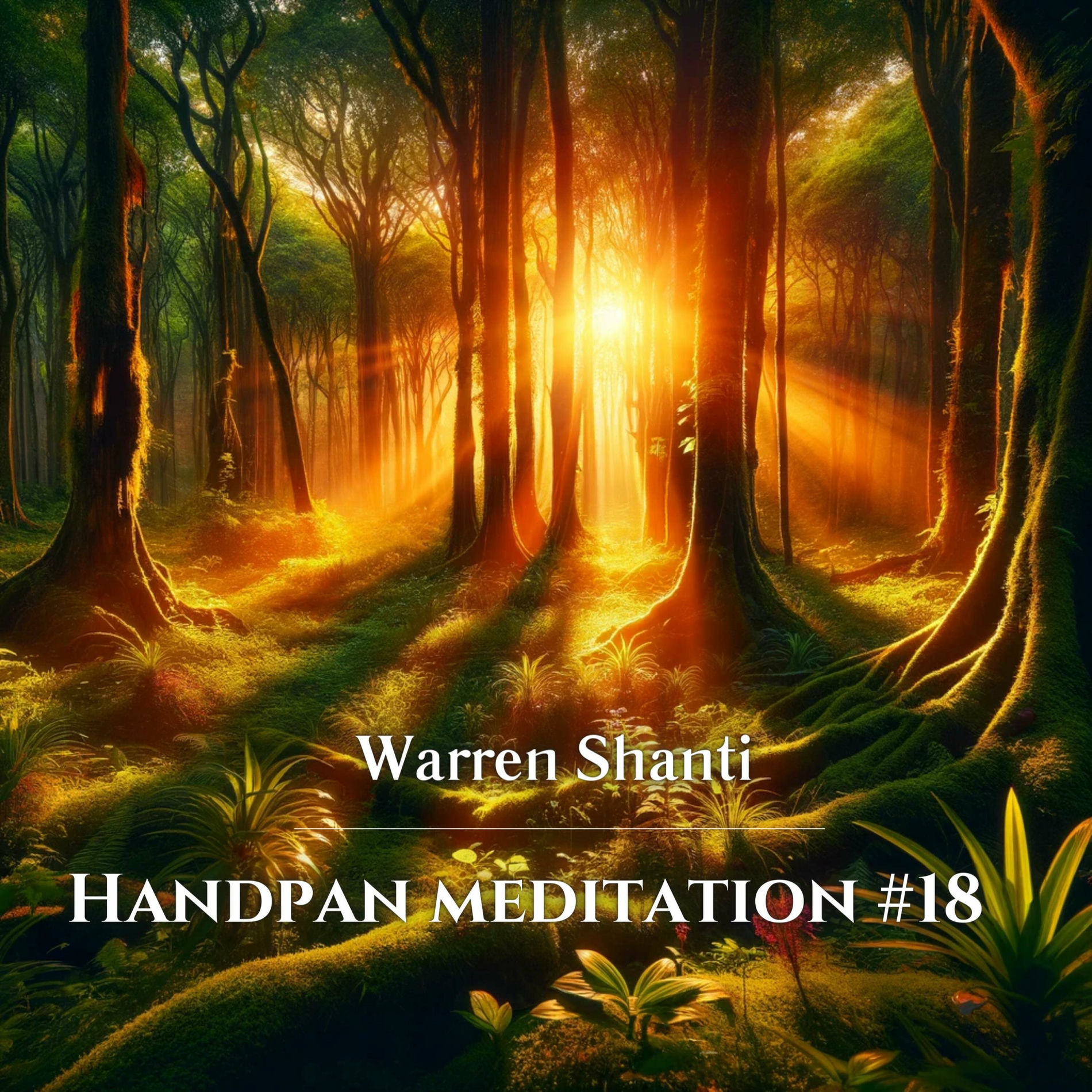 Album cover of Handpan Meditation #18