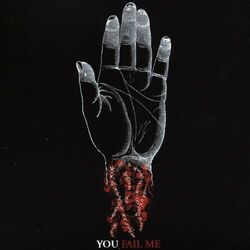 Cover of You Fail Me