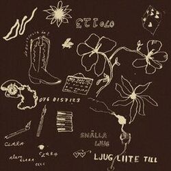 Cover of Någon annan