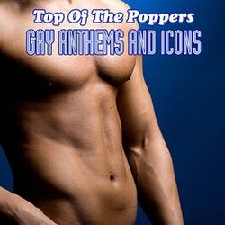 Cover of Gay Icons And Anthems