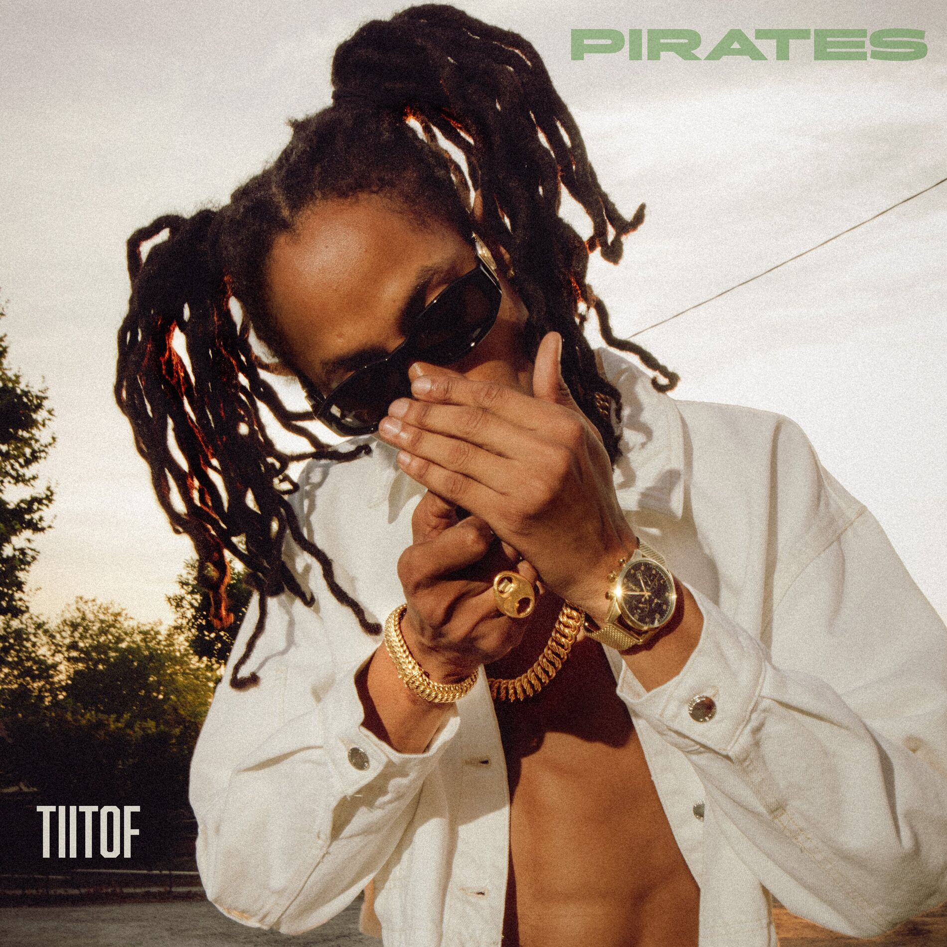 Album cover of Pirates