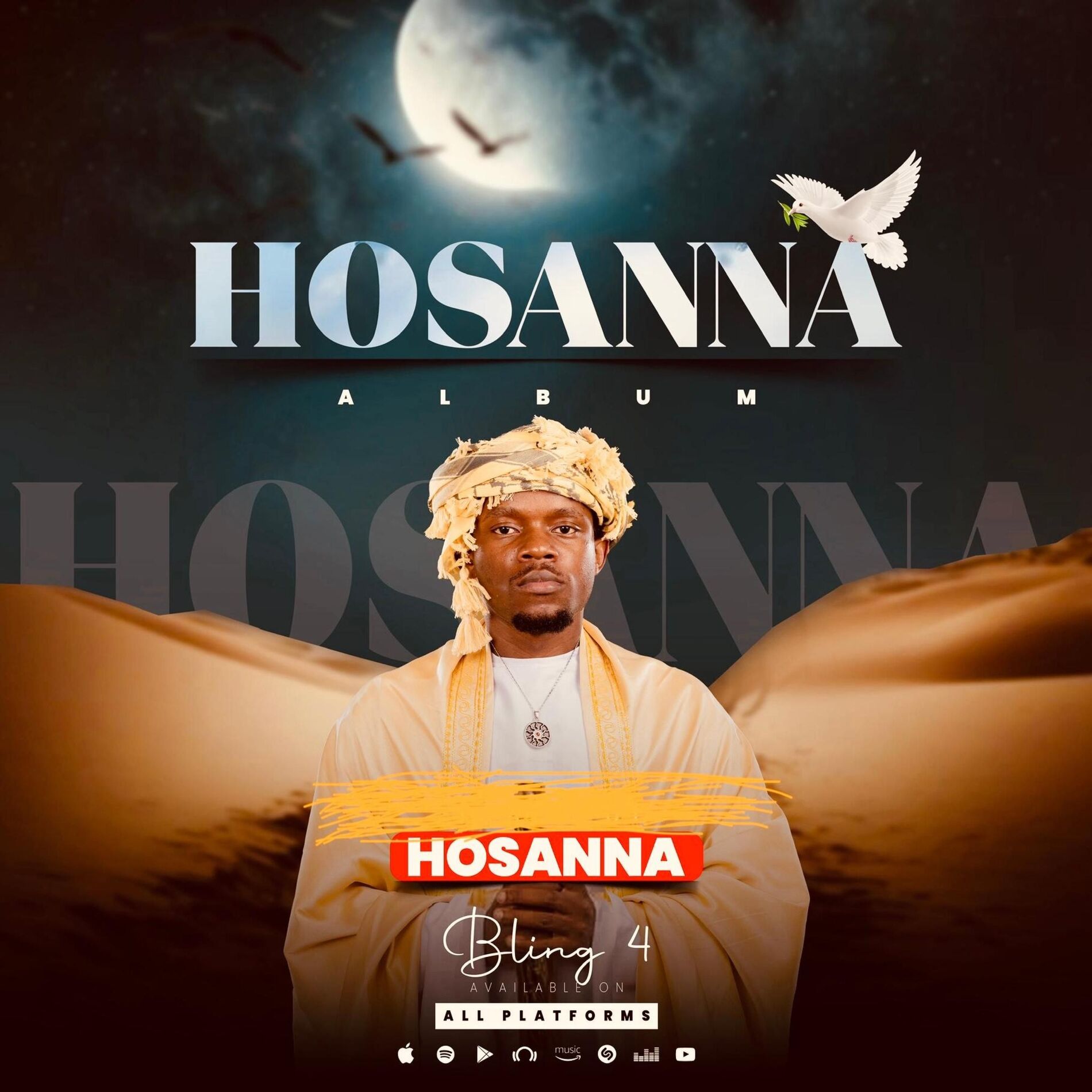 Album cover of Ndioneseii