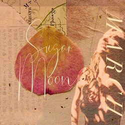 Cover of Sugar Moon