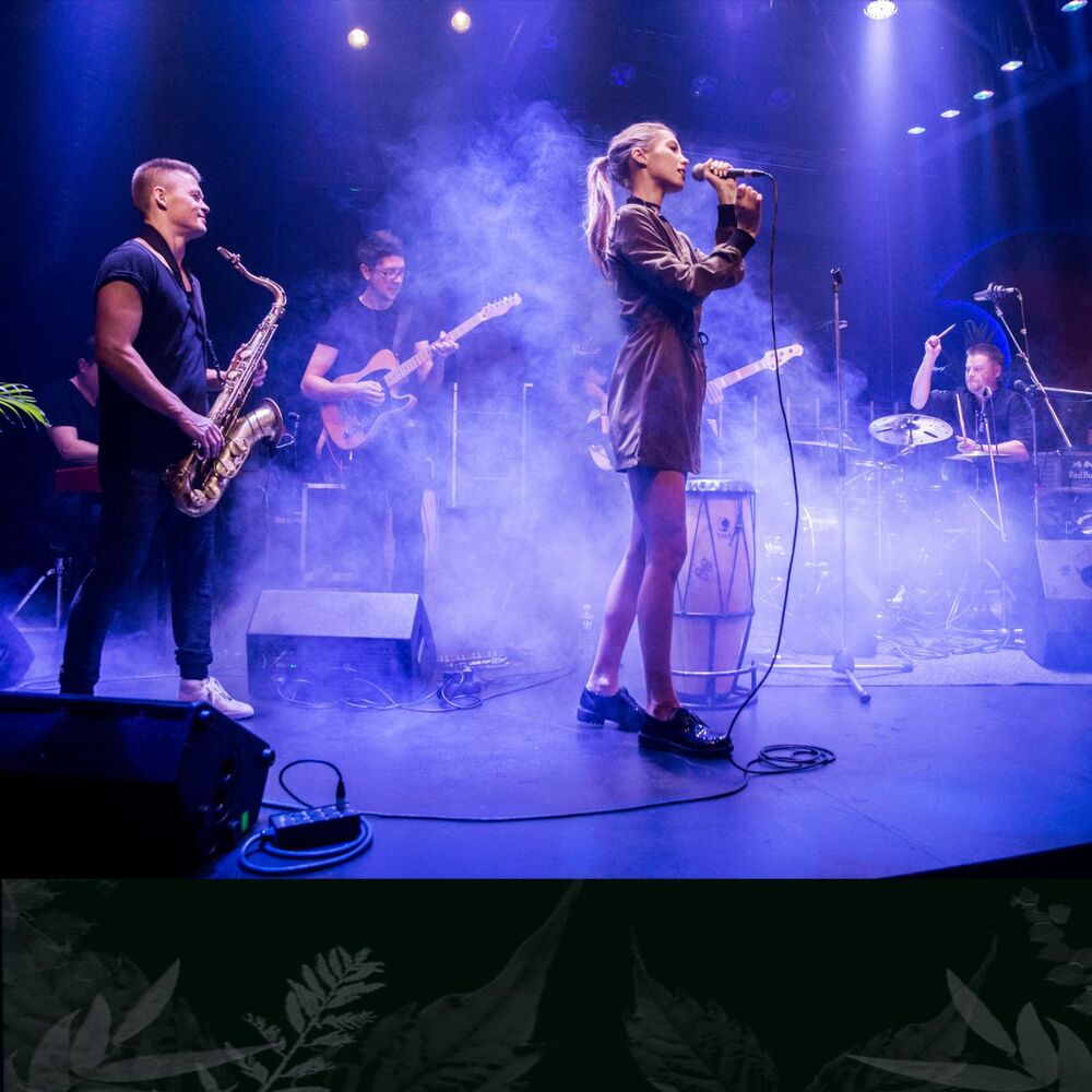 Picture of Live at Gyvas Lietus