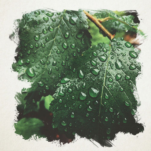 memorable - Rain Version by Klaus - 117 BPM