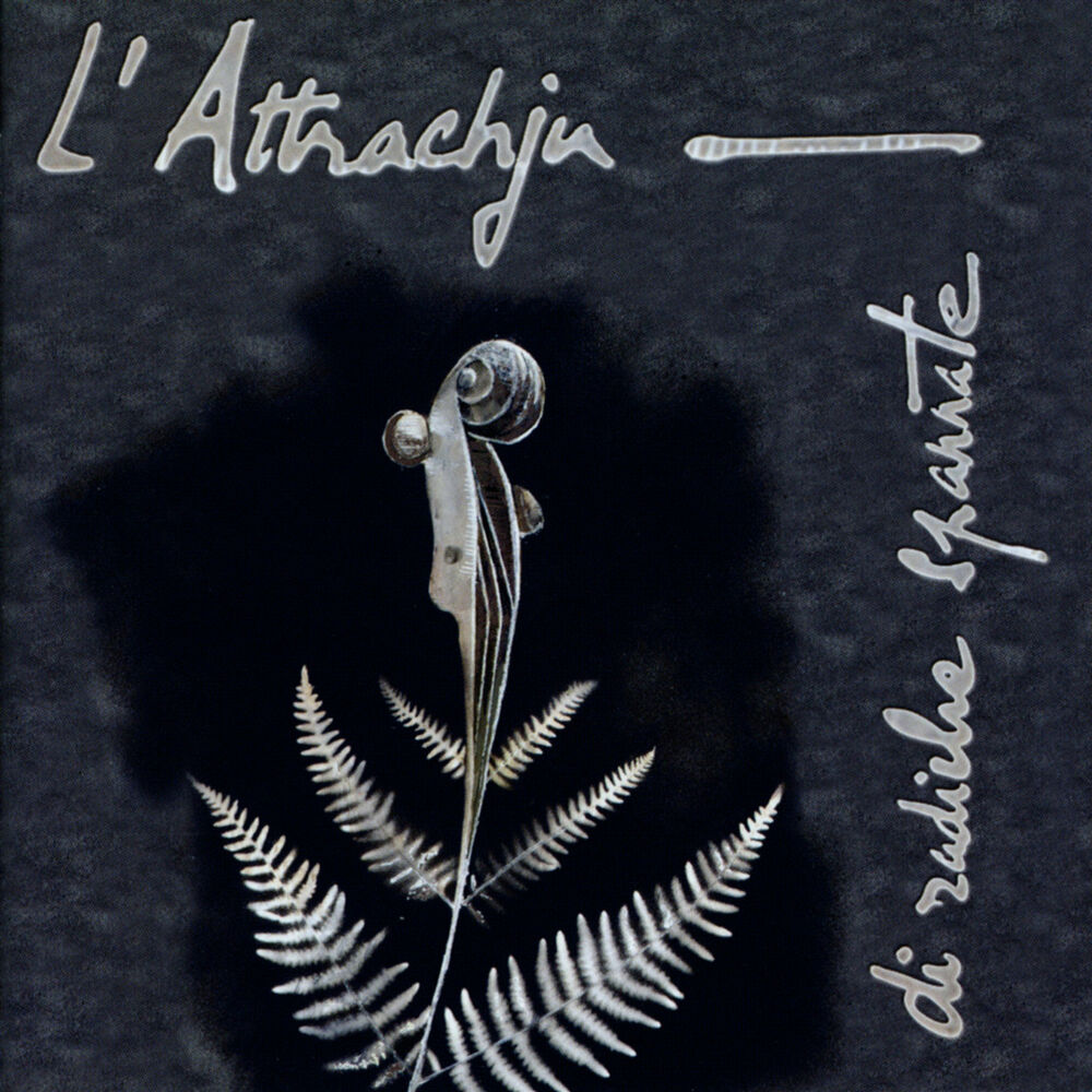 Picture of Di radiche spannate