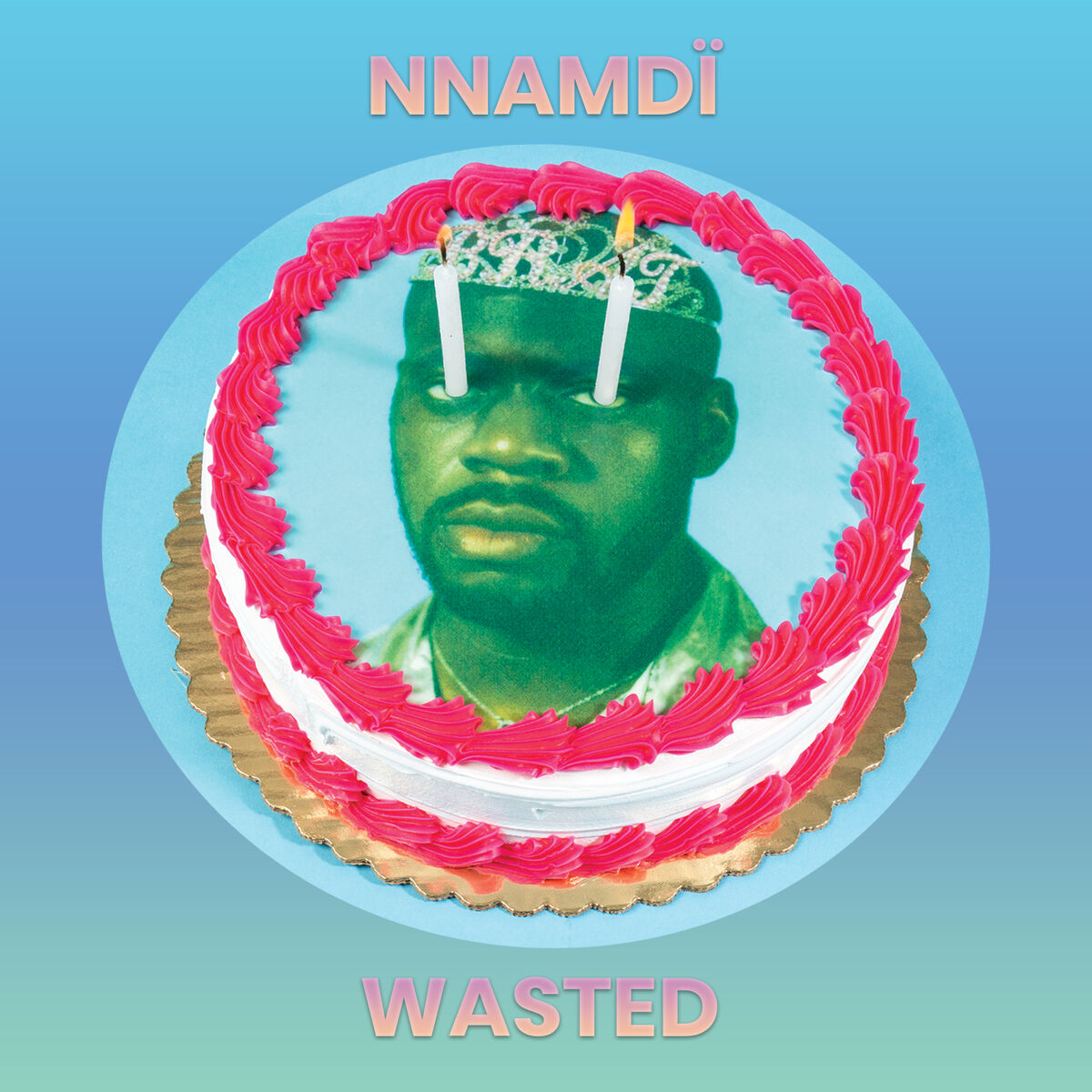 Album cover of Wasted