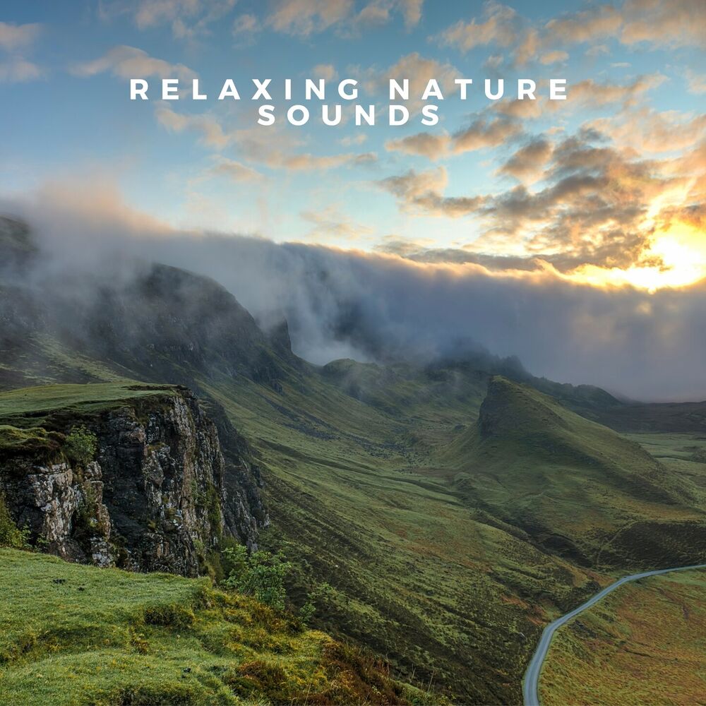 Picture of Relaxing Nature Sounds