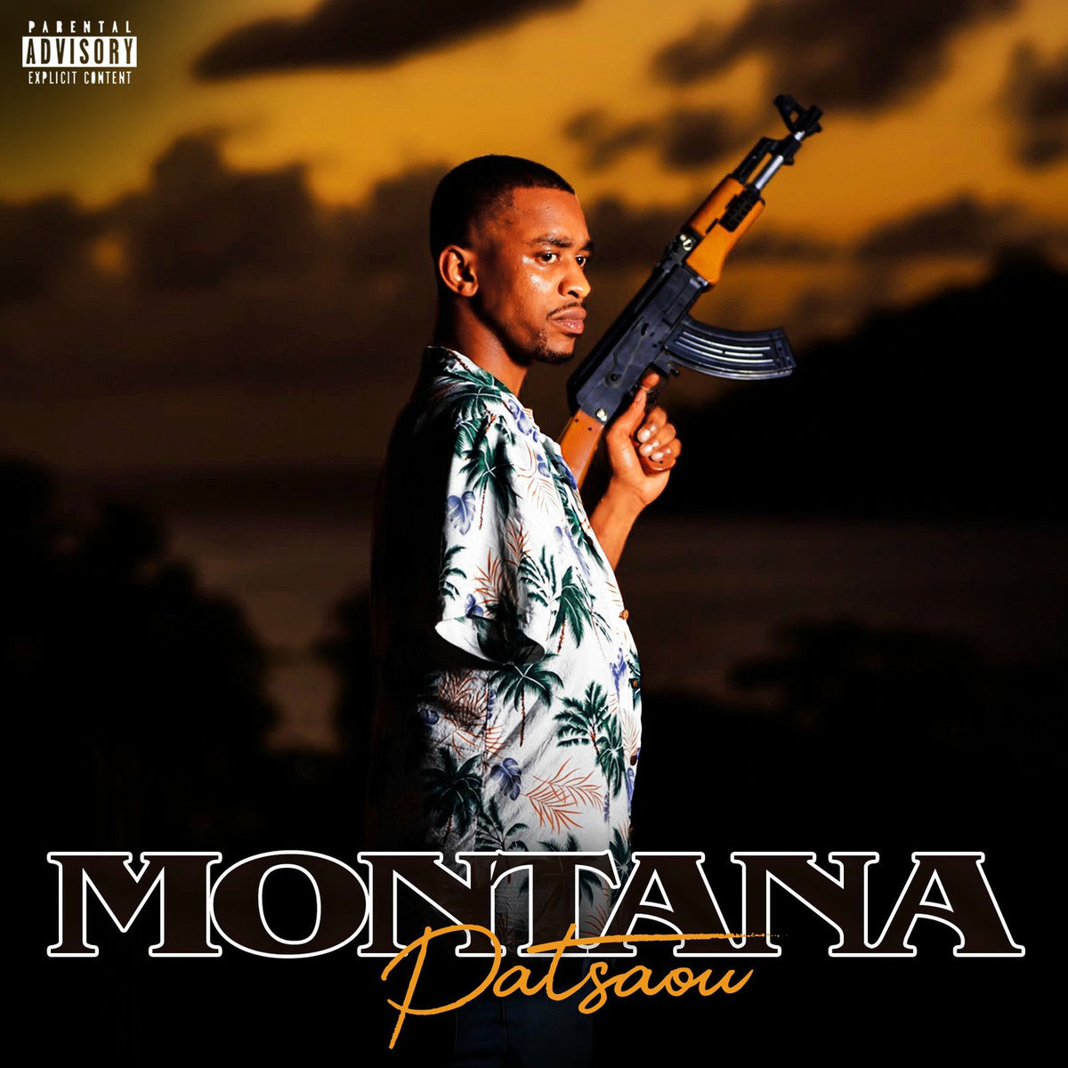 Album cover of Montana