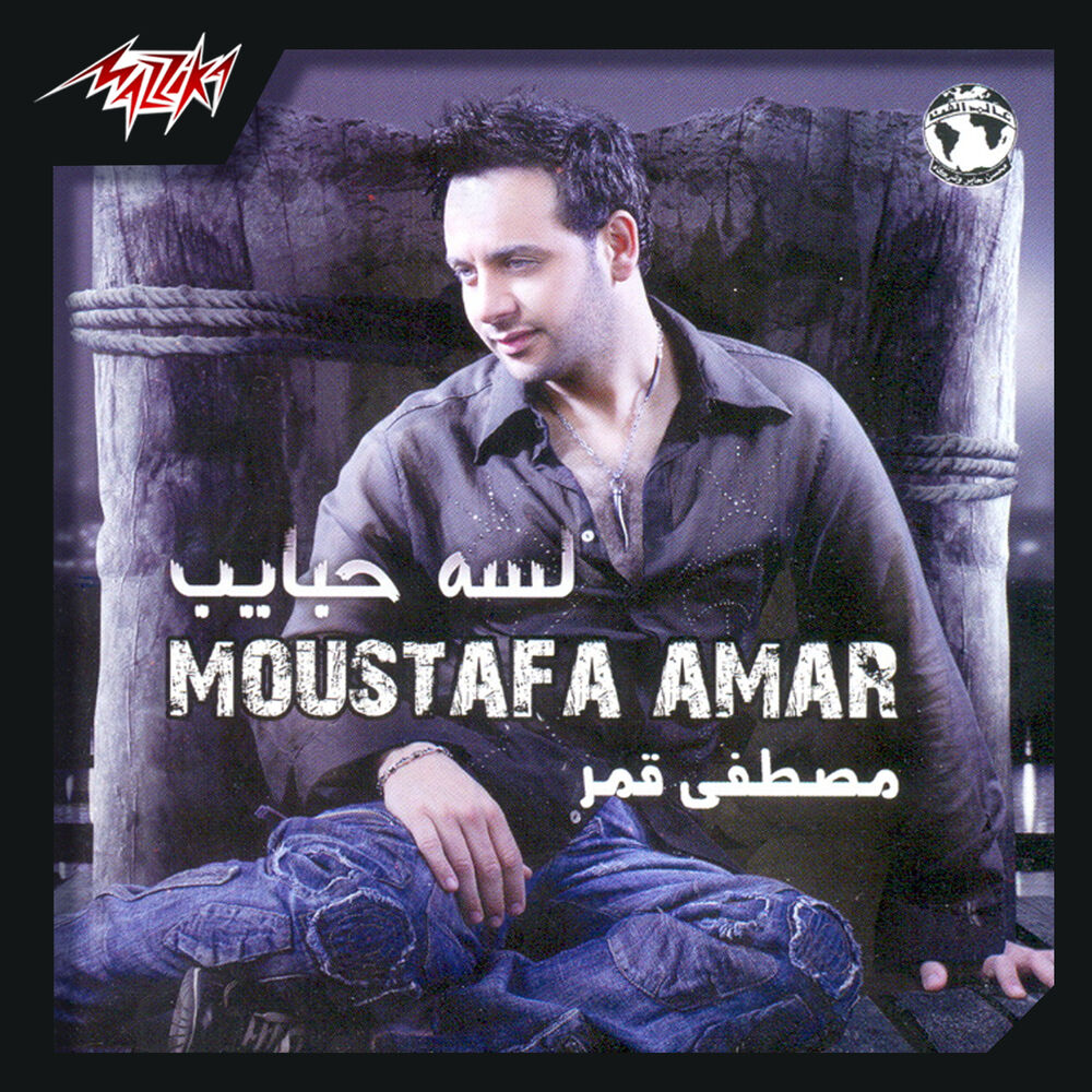 Picture of Lessa Habayeb
