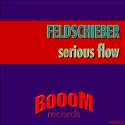 Cover of Serious Flow