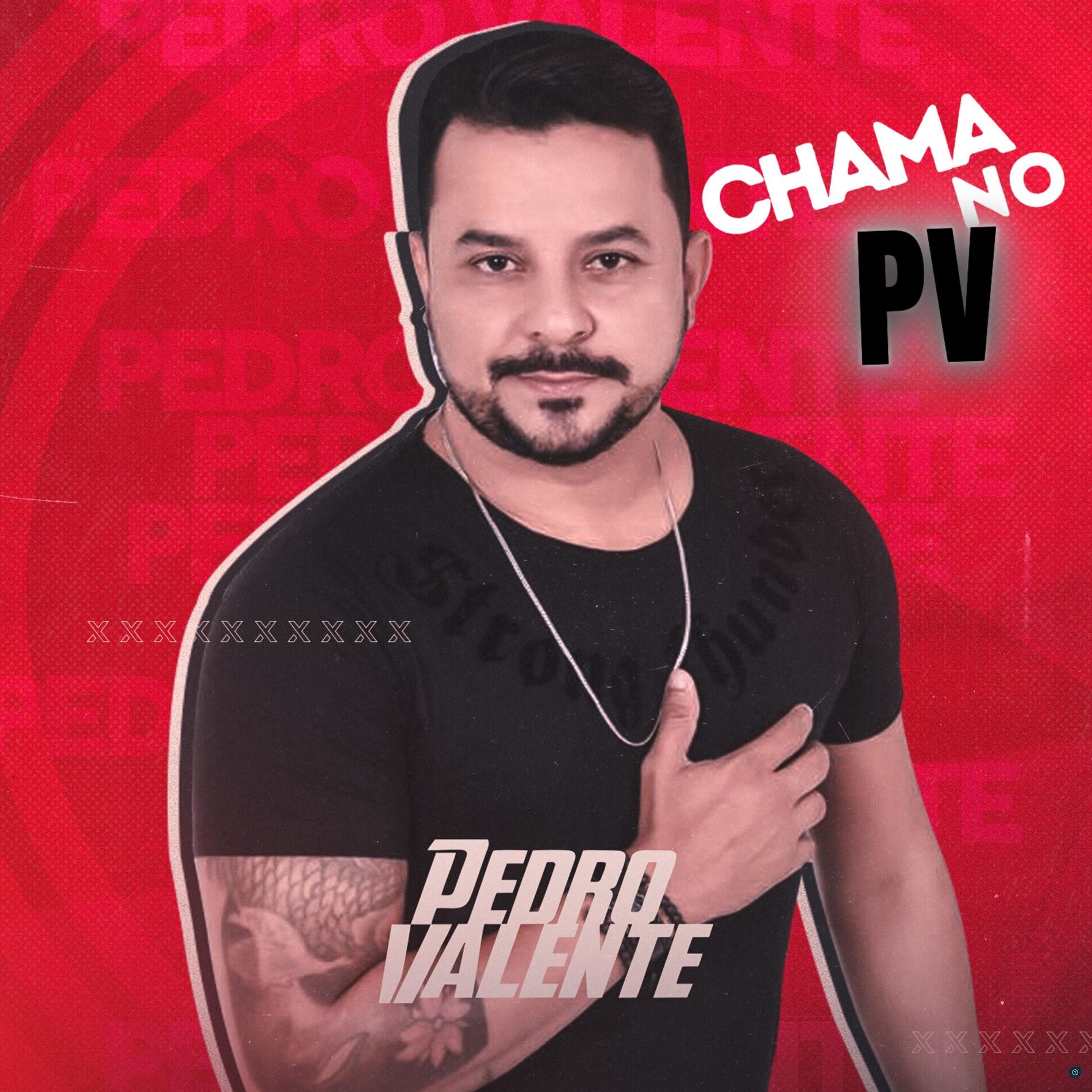 Album cover of Chama no PV