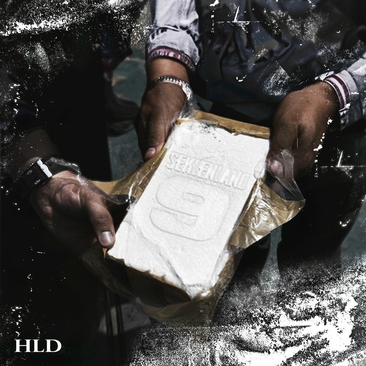 Album cover of Seklenland - Pt.9