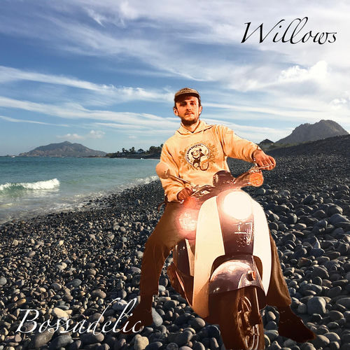 Bossadelic