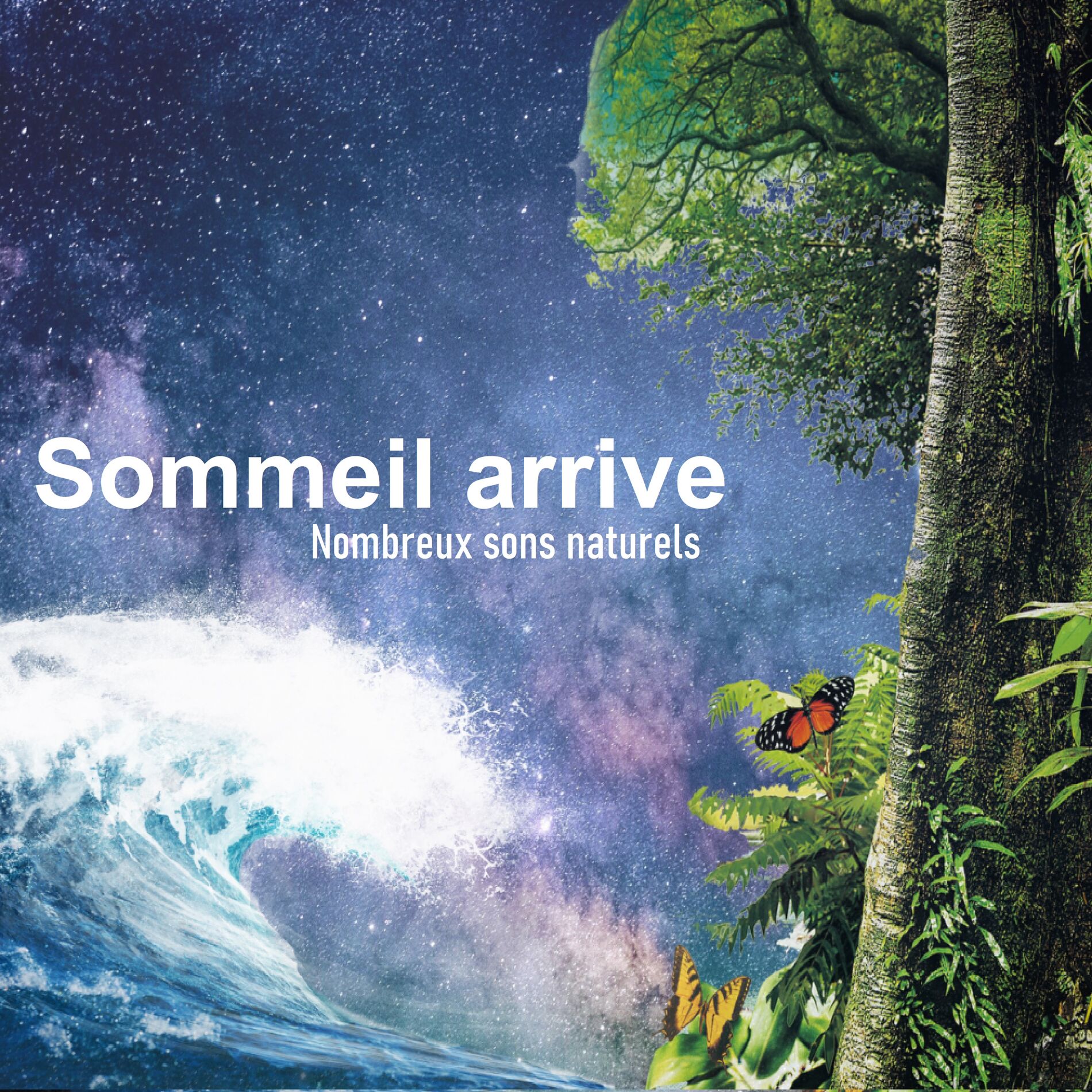 Album cover of Sommeil arrive – Nombreux sons naturels, Zen, Musique new age