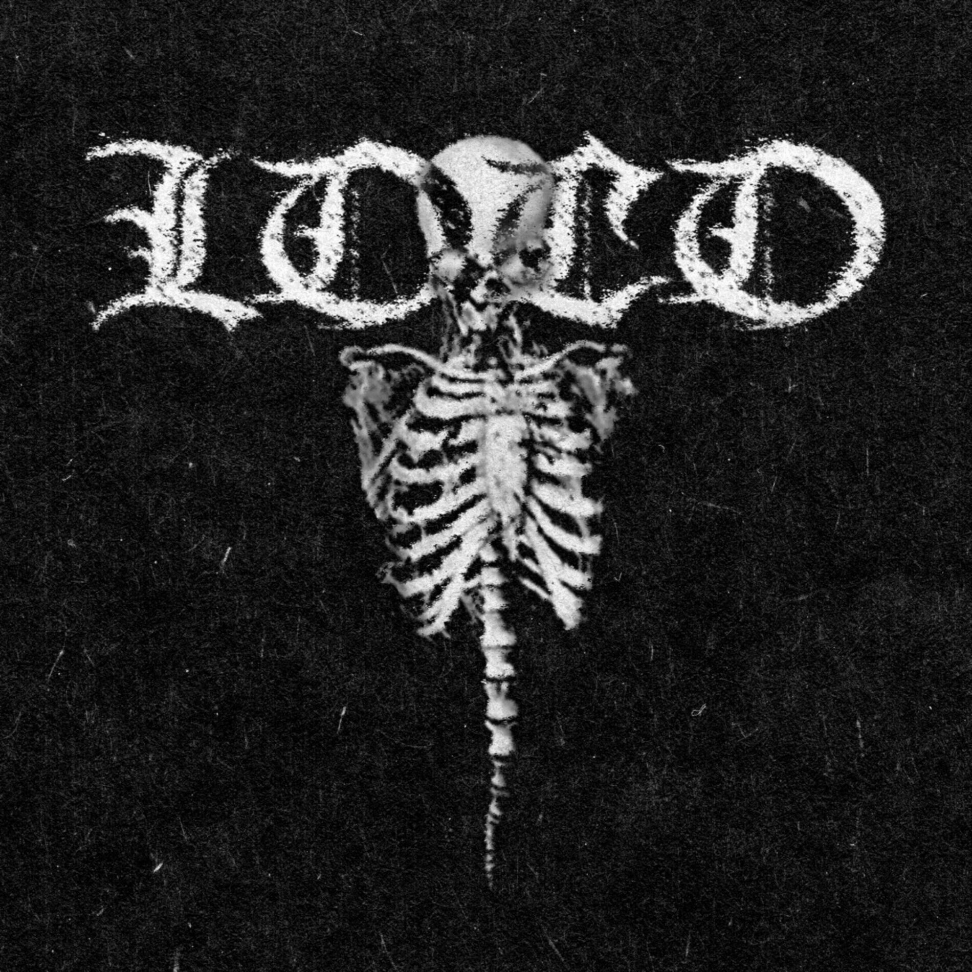 Album cover of Loco