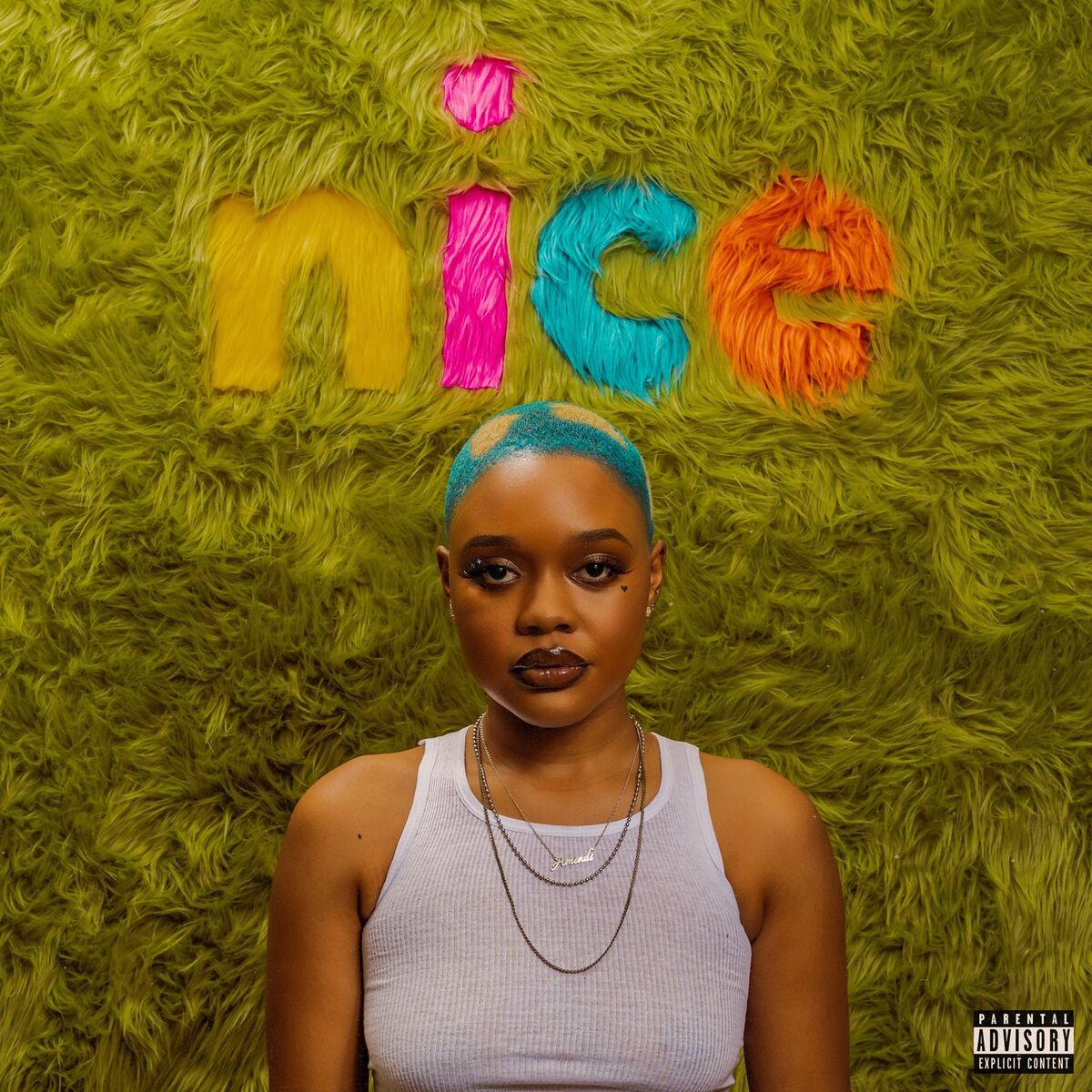 Album cover of nice