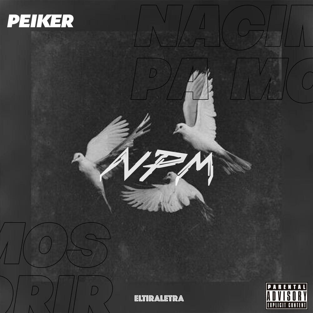 Picture of NPM