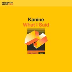 Cover of What I Said