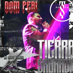Cover of Dom Peri
